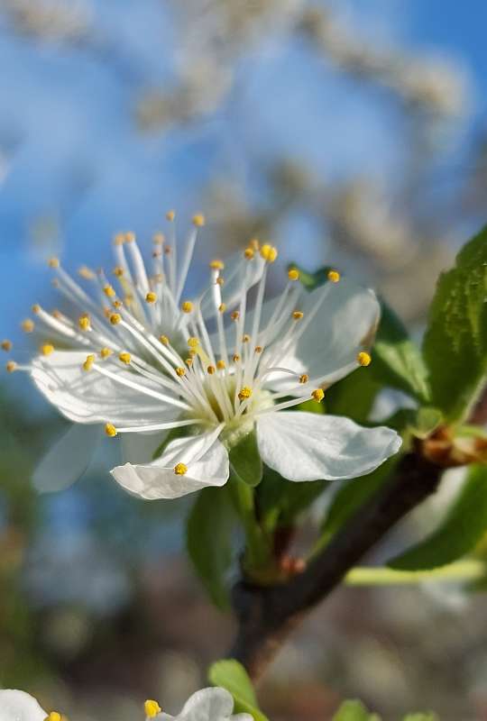 �������� ����.. ����� ������ Larisa �� PhotoGeek.ru #������ ��� �������