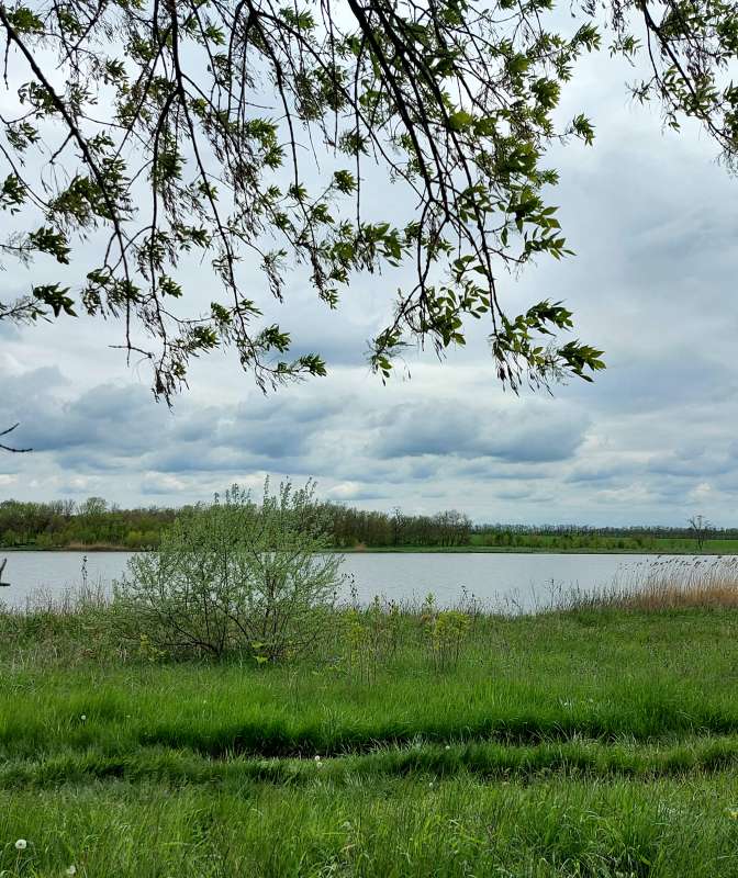 Весенний день.. автор Лариса Larisa на PhotoGeek.ru #Пейзаж или природа #Весна #Небо #Природа #Река