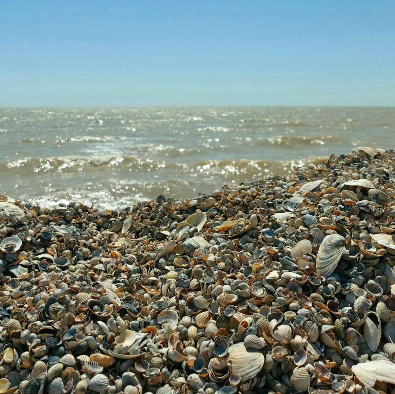 ���� �������.. ����� ������ Larisa �� PhotoGeek.ru #������ ��� ������� #����� #���� #���������� ��� #����� ��������