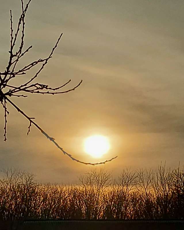 ������  �� �����. ����� ������ Larisa �� PhotoGeek.ru #�������