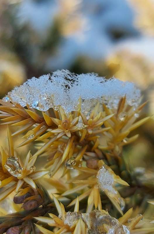  ...   Larisa  PhotoGeek.ru #  