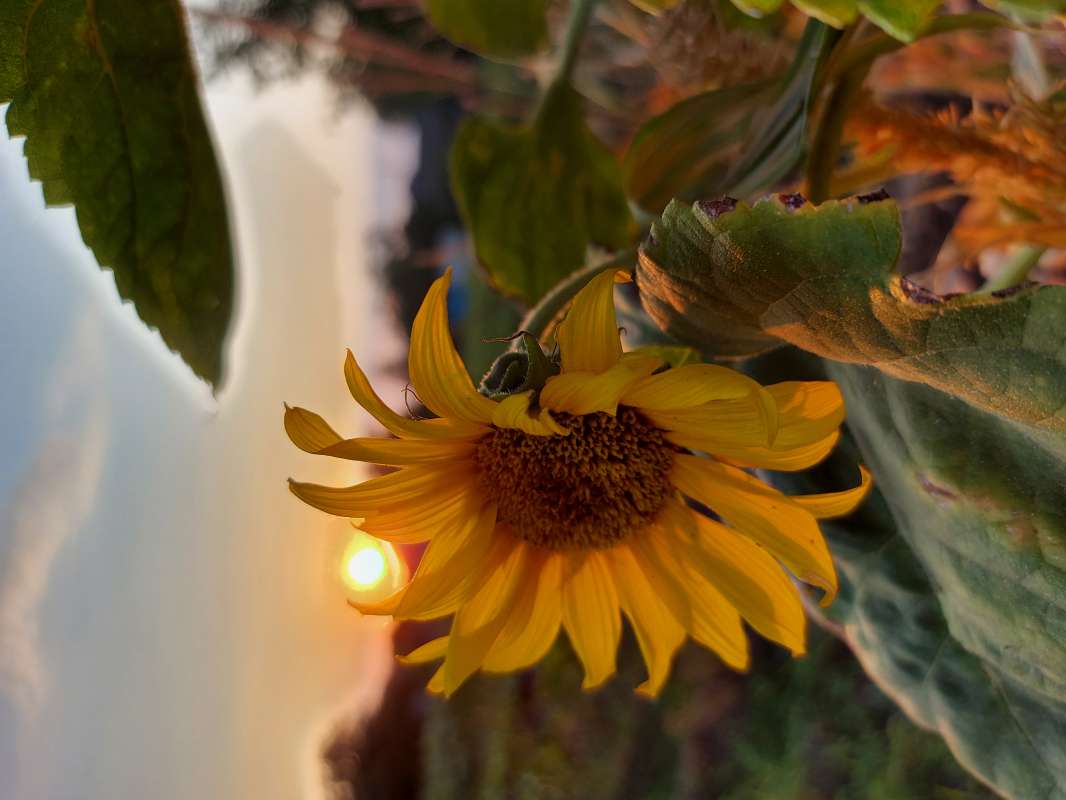 ����� ������,�� ����� ����� ������ Larisa �� PhotoGeek.ru #�������� ��� #��