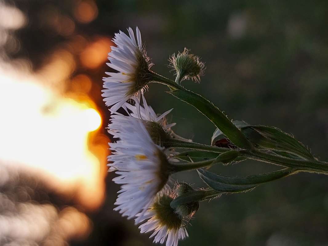 �� ������ ����� ������ Larisa �� PhotoGeek.ru #����� #�������� ���������� #����� ��������������