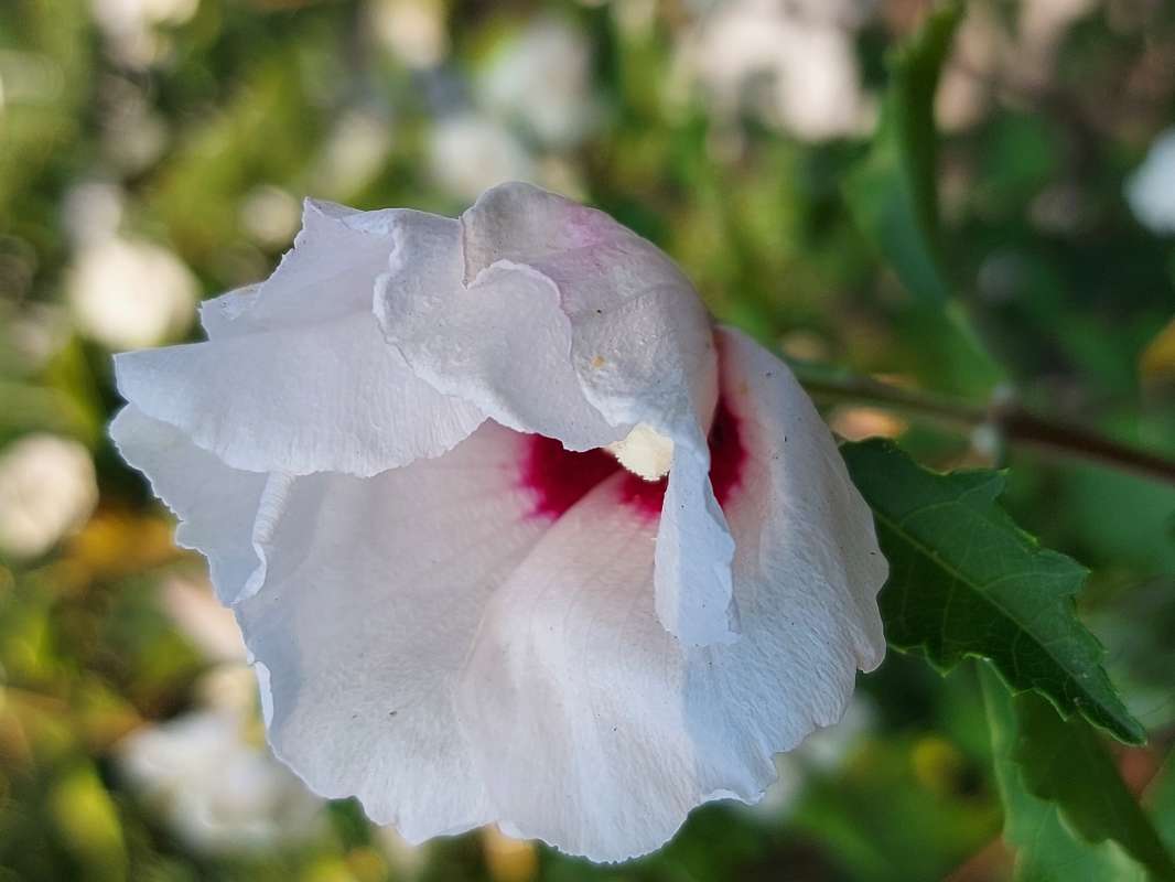 �������� ����� ����� ������ Larisa �� PhotoGeek.ru #����� #����� ��������������