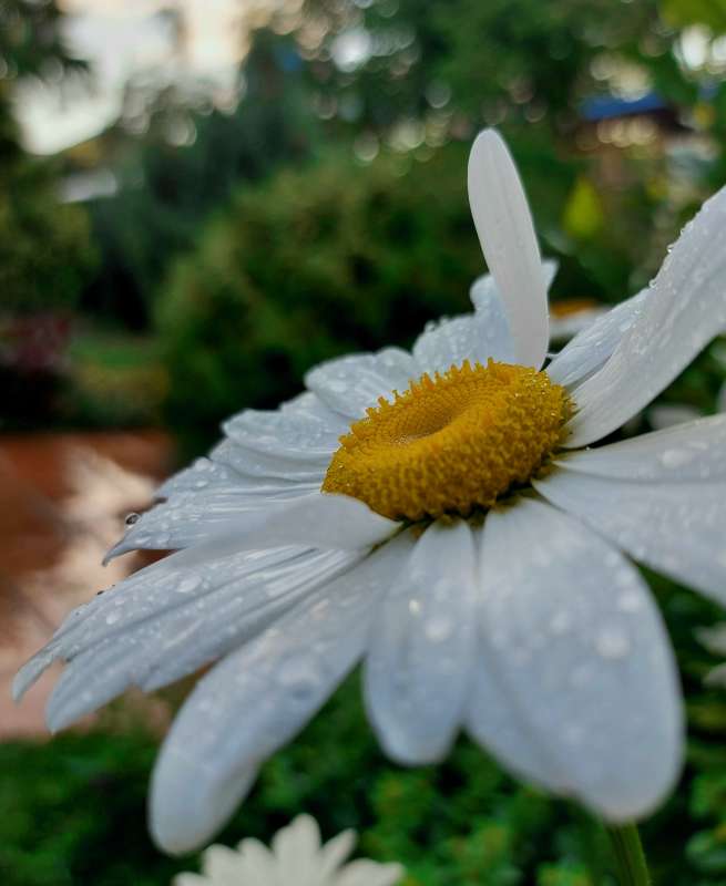 ����� ����� ����� ������ Larisa �� PhotoGeek.ru #����� #������ ��� ������� #����� ��������������