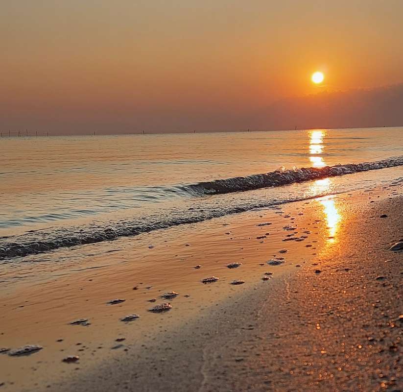 �������� ����� ����� ������ Larisa �� PhotoGeek.ru #������� #������ ��� ������� #��������� #������ #����� ��������