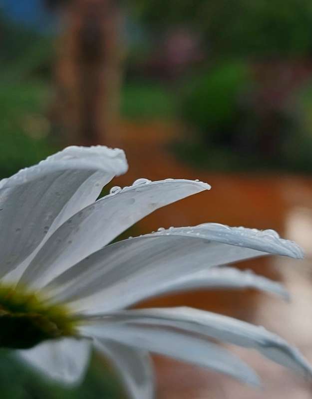 ��������... ����� ������ Larisa �� PhotoGeek.ru #����� #������ ��� ������� #����� �������������� #����� ��������