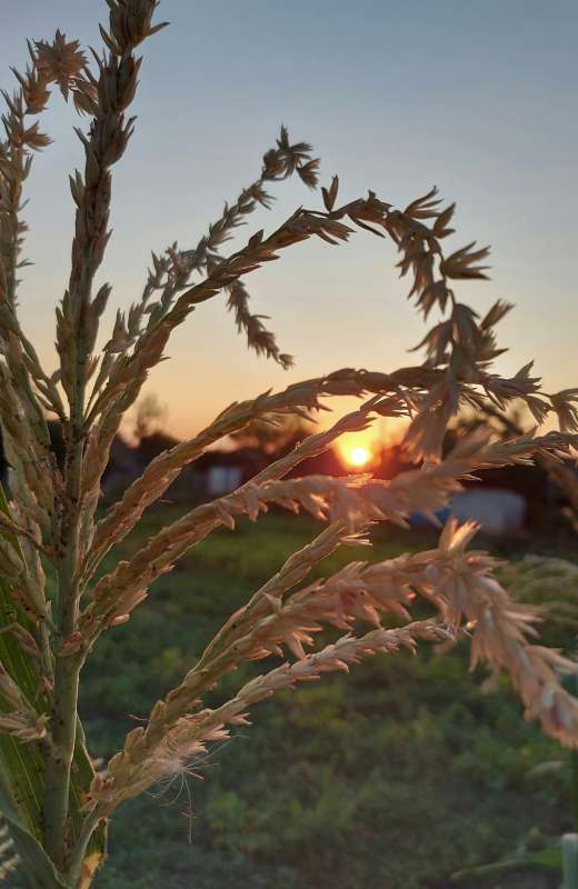 ����������... ����� ������ Larisa �� PhotoGeek.ru #������ ��� ������� #����� �������������� #������