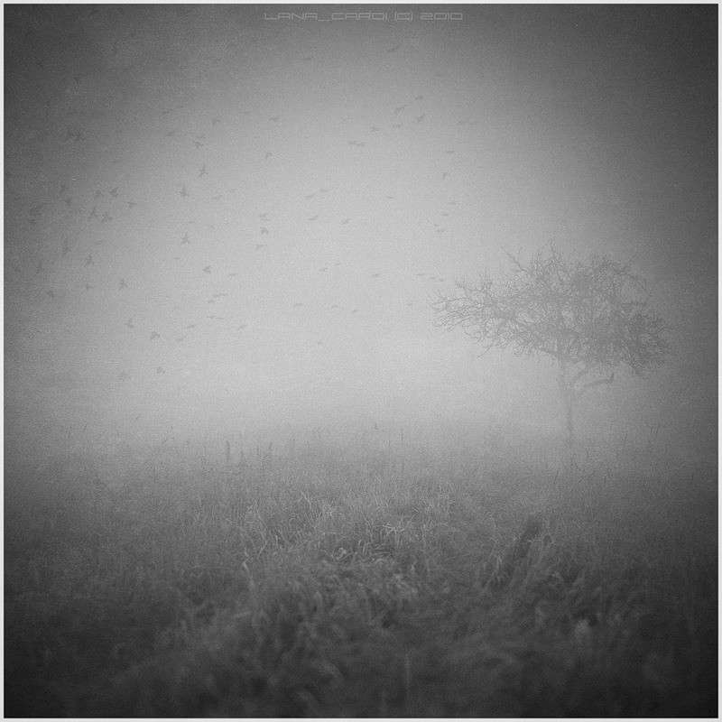 in aeternum ����� Lana Cardi �� PhotoGeek.ru #������ ��� ������� #���-����������� #����� �������������� #��������� #�����-�����