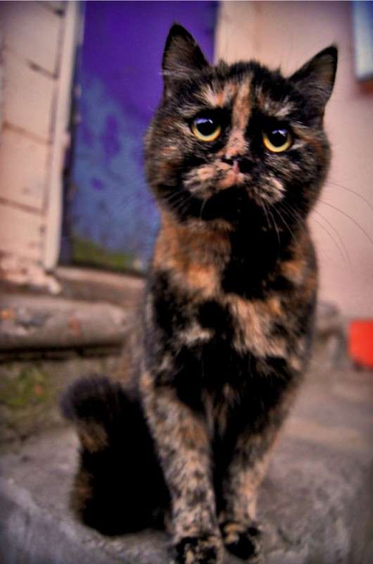 ��� ����� Valery  �� PhotoGeek.ru #����� #�������� ��� #������ ������ #����� ��� ��� ��������� #�������� ��� #�����-���