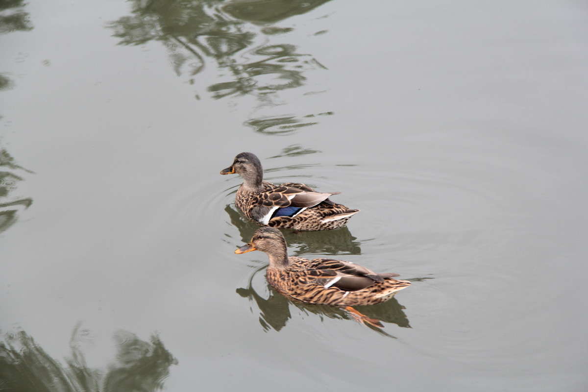 ������ ����� �������  �� PhotoGeek.ru #������ ��� ������� #����� ��������