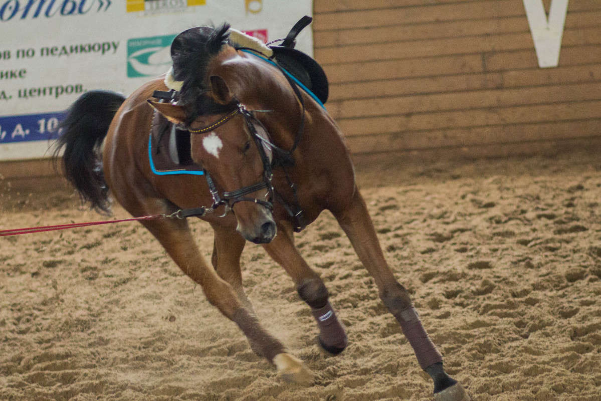 ������ ����� �������  �� PhotoGeek.ru #�������� ���