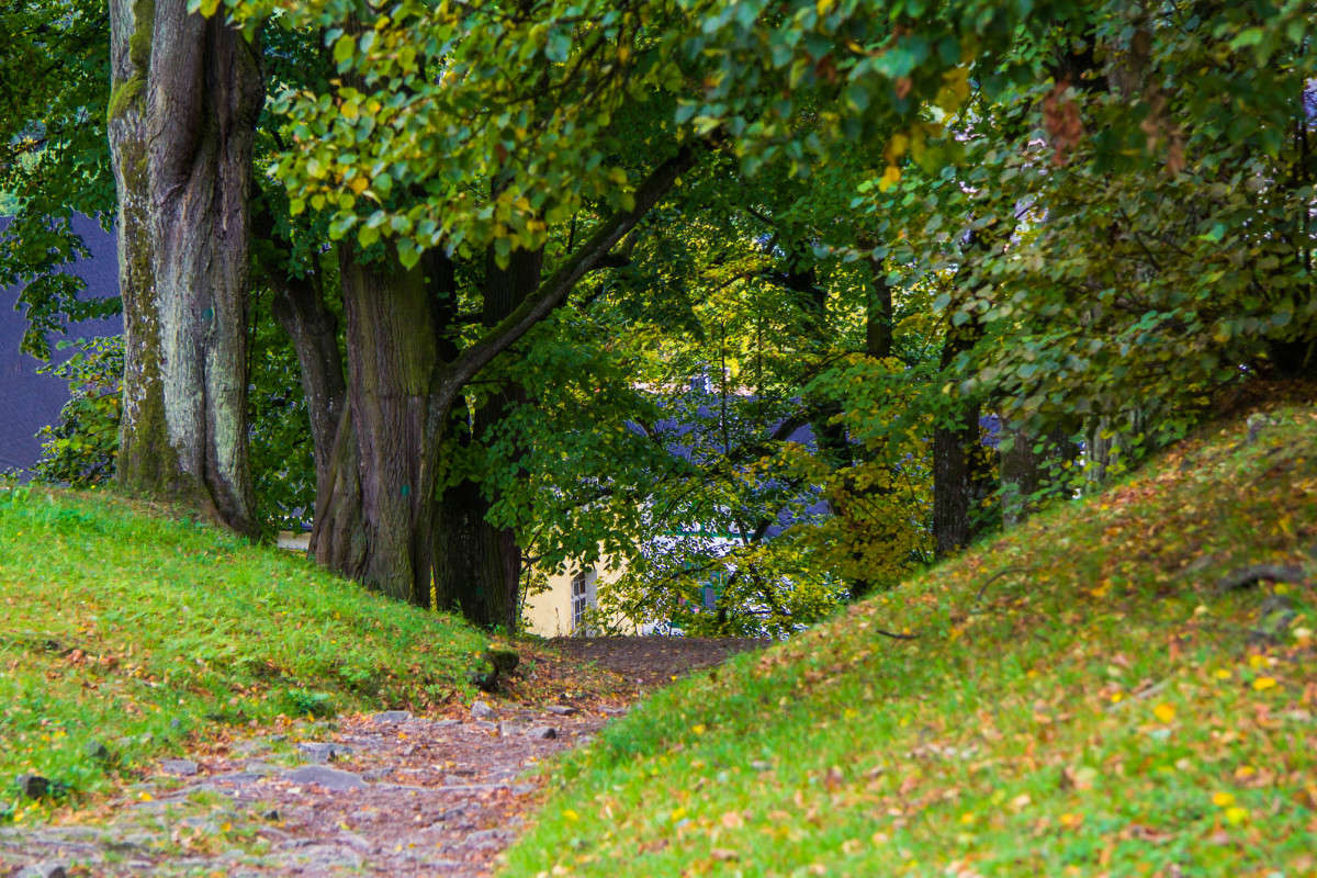 ���� 2 ����� �������  �� PhotoGeek.ru #������ ��� �������