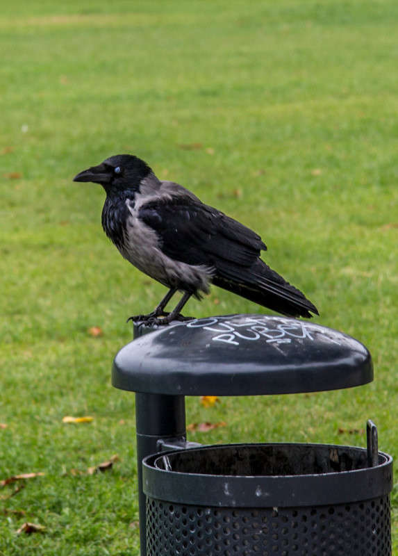 ����������� ������ ����� �������  �� PhotoGeek.ru #�������� ��� #������ ��� �������