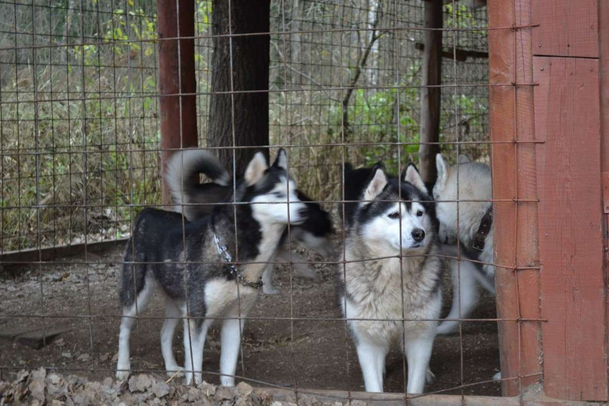 ... �����   �� PhotoGeek.ru #�������� ���