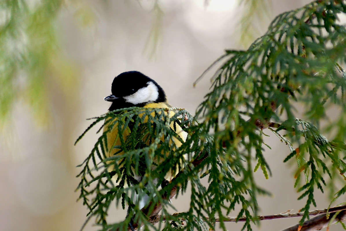 ������� ����� ����� ������ �� PhotoGeek.ru #�������� ���