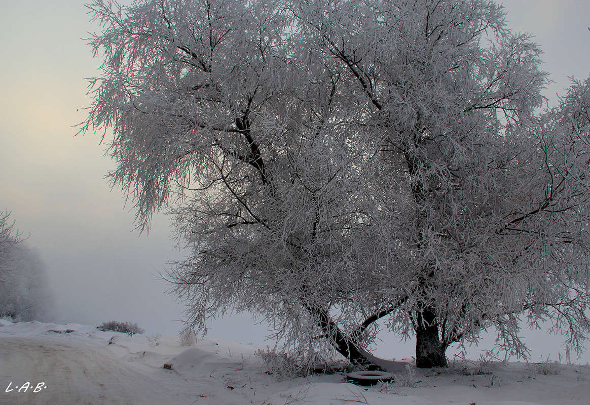 ���������� ����� ��� ����� �������  �� PhotoGeek.ru #������ ��� �������