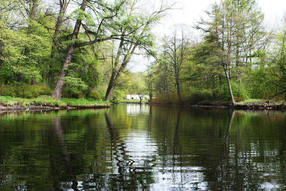 ����������� ������ ��� ����� �������  �� PhotoGeek.ru #������ ��� �������