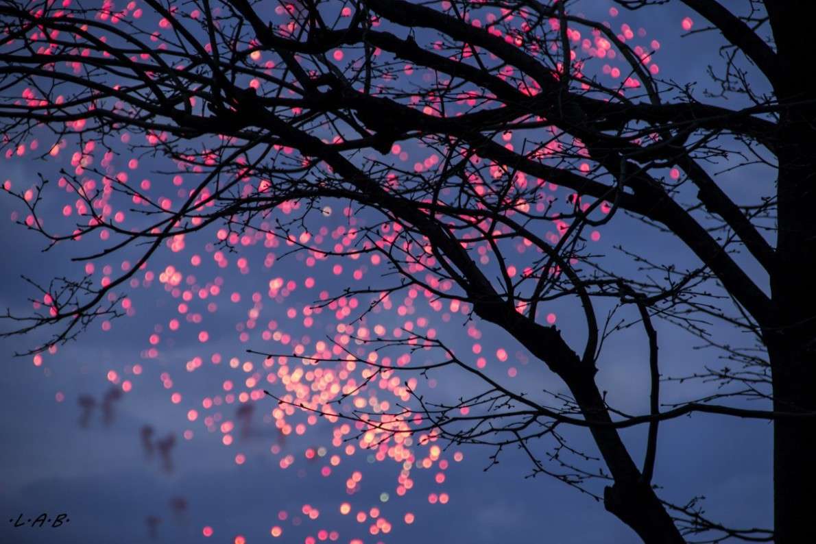 9 ��� - ��� ����� �������  �� PhotoGeek.ru #�����