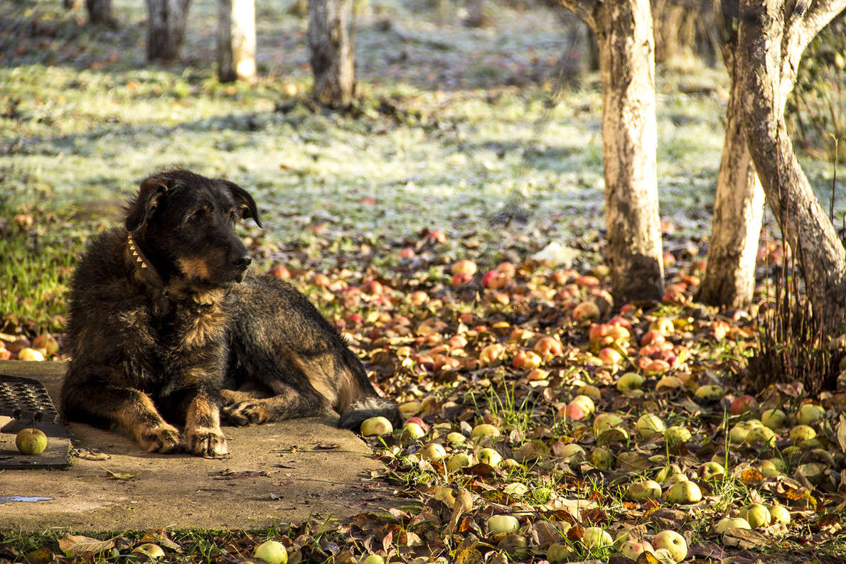 ���� ����� �������  �� PhotoGeek.ru #�������� ��� #������ ��� �������