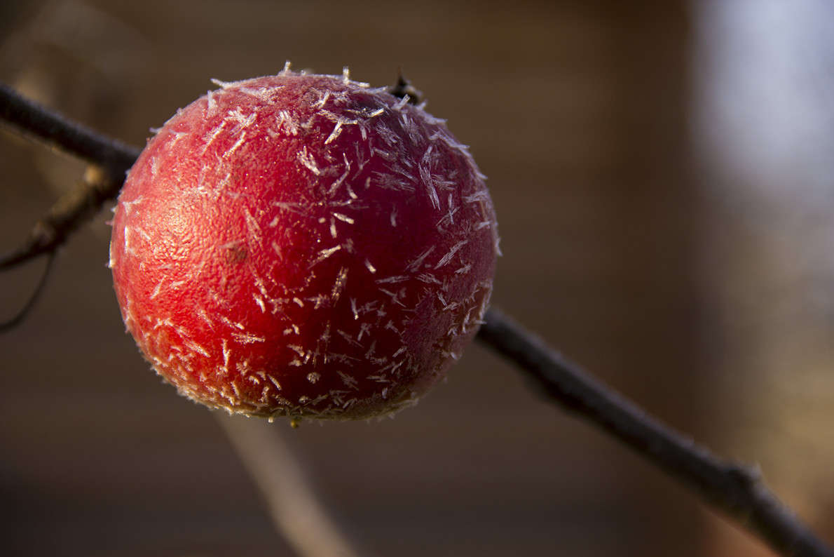 �����������... ����� �������  �� PhotoGeek.ru #�����