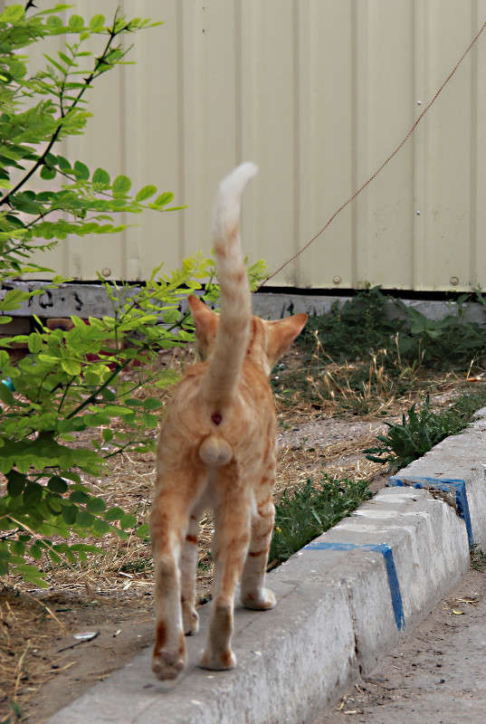 ������ ������ ����� �������  �� PhotoGeek.ru #�������� ��� #�������� ���