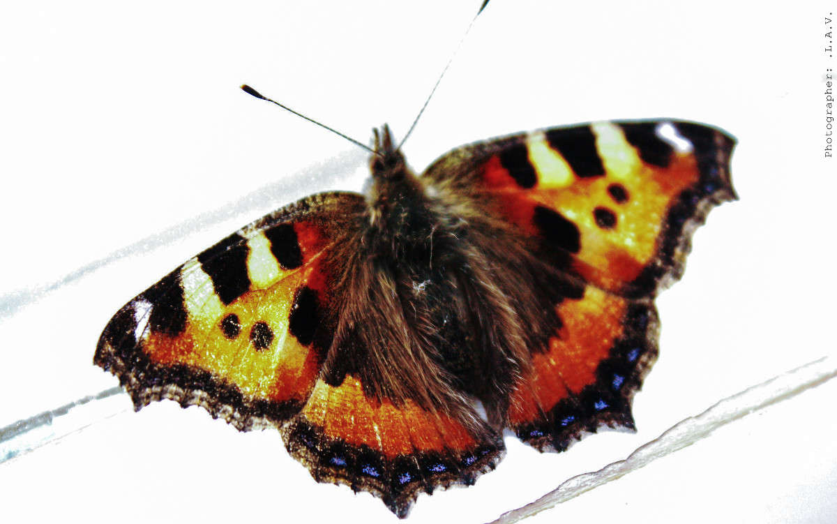 ������� ����� �������  �� PhotoGeek.ru #����� #�������� ���