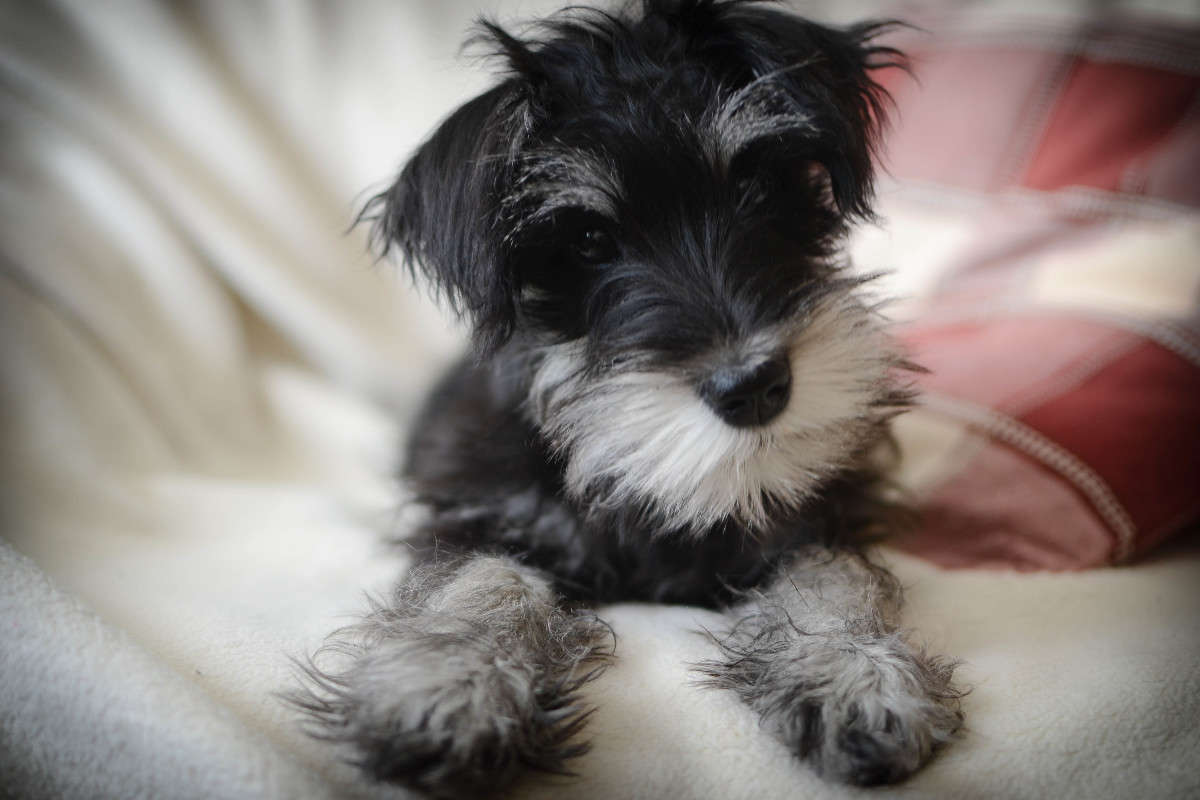 ����� ����� ������� �������� �� PhotoGeek.ru #�������� ���