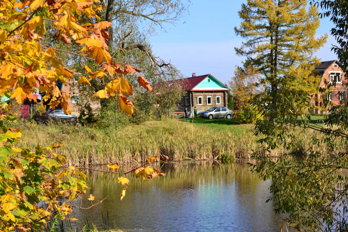 Золотая осень в деревне автор Анна  на PhotoGeek.ru #Пейзаж или природа #Живая растительность #Зарисовки #Разное #Среда обитания
