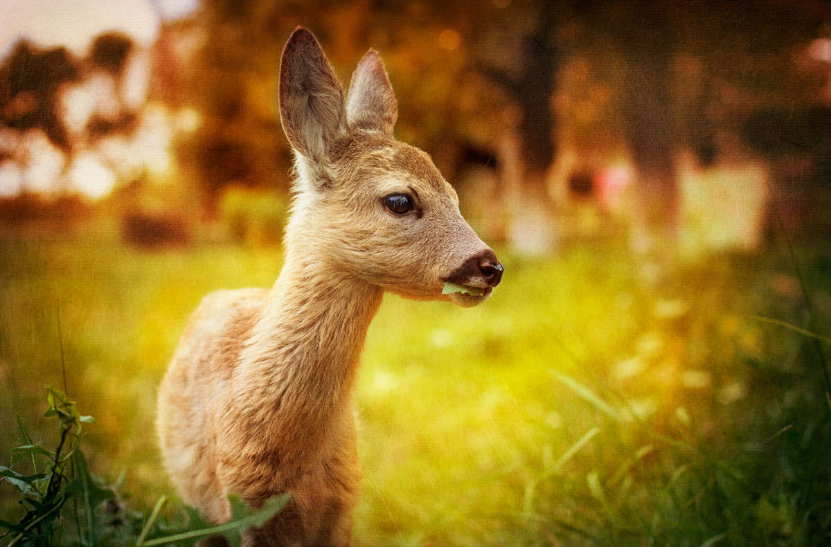 ... ����� ����� ������� �� PhotoGeek.ru #�������� ���