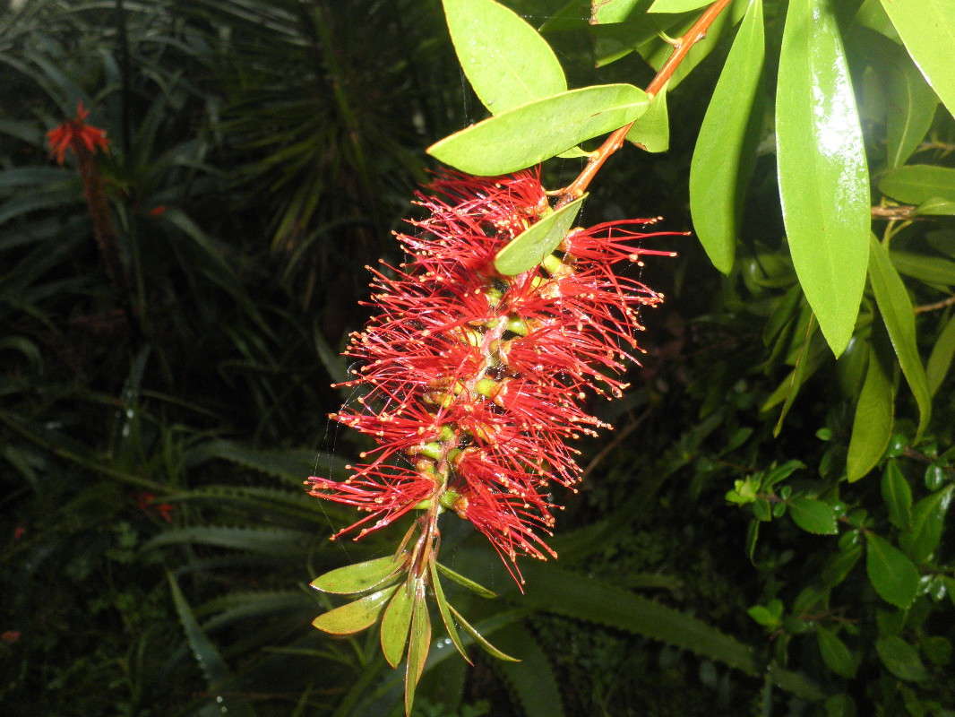 ��������-����� �����   �� PhotoGeek.ru #������ ��� ������� #����� ��������������