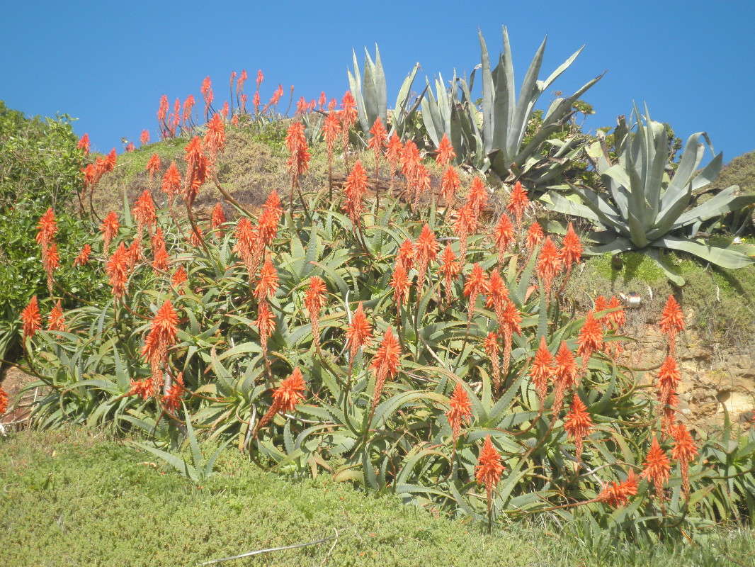 ������ ����. �������.���������� �����   �� PhotoGeek.ru #������ ��� �������