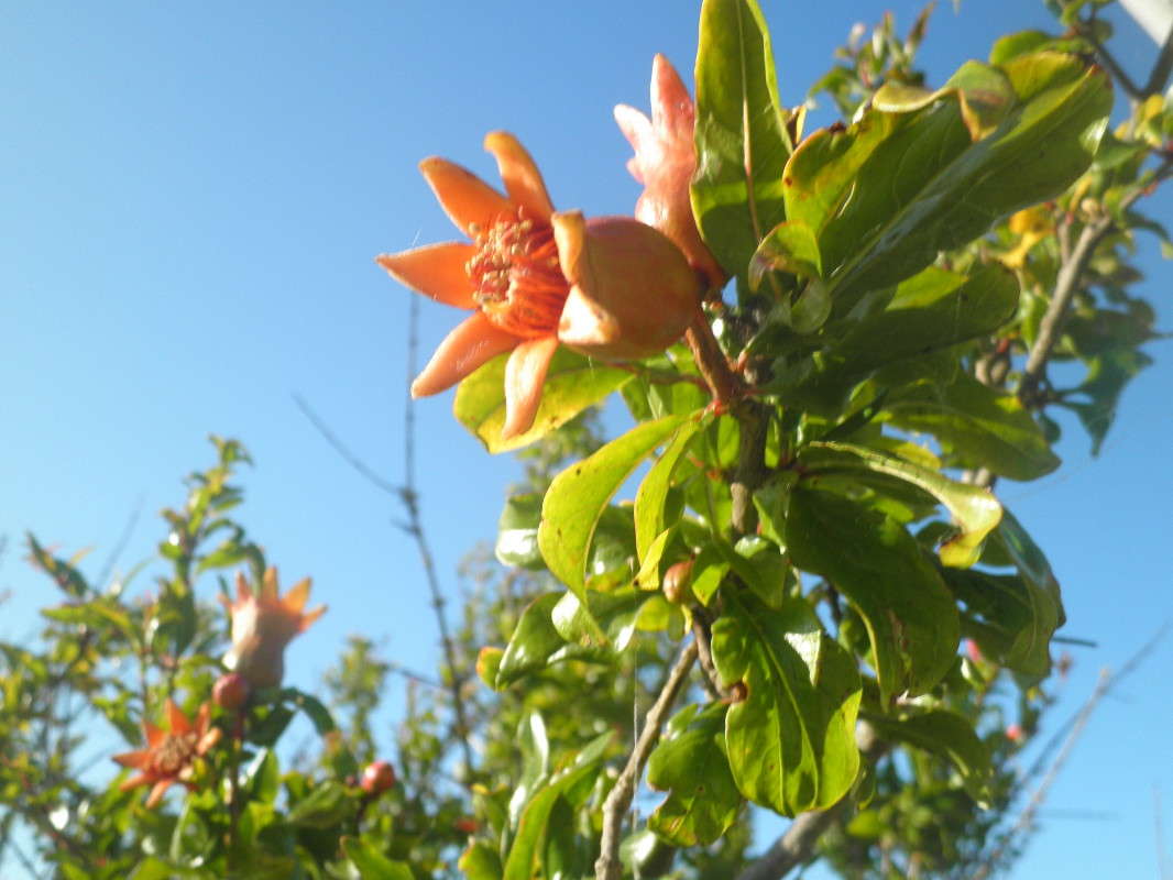 ���Ҩ� ������ �����   �� PhotoGeek.ru #������ ��� �������