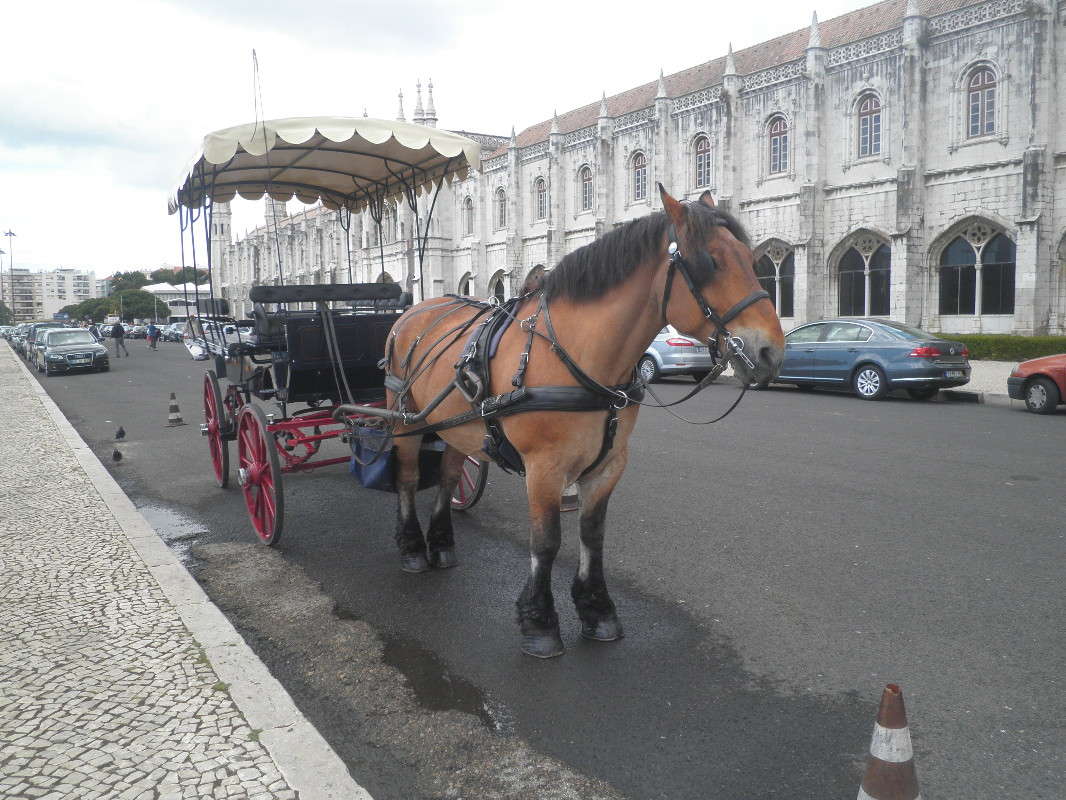 �������� �Ĩ� ��������.. �����   �� PhotoGeek.ru #�����