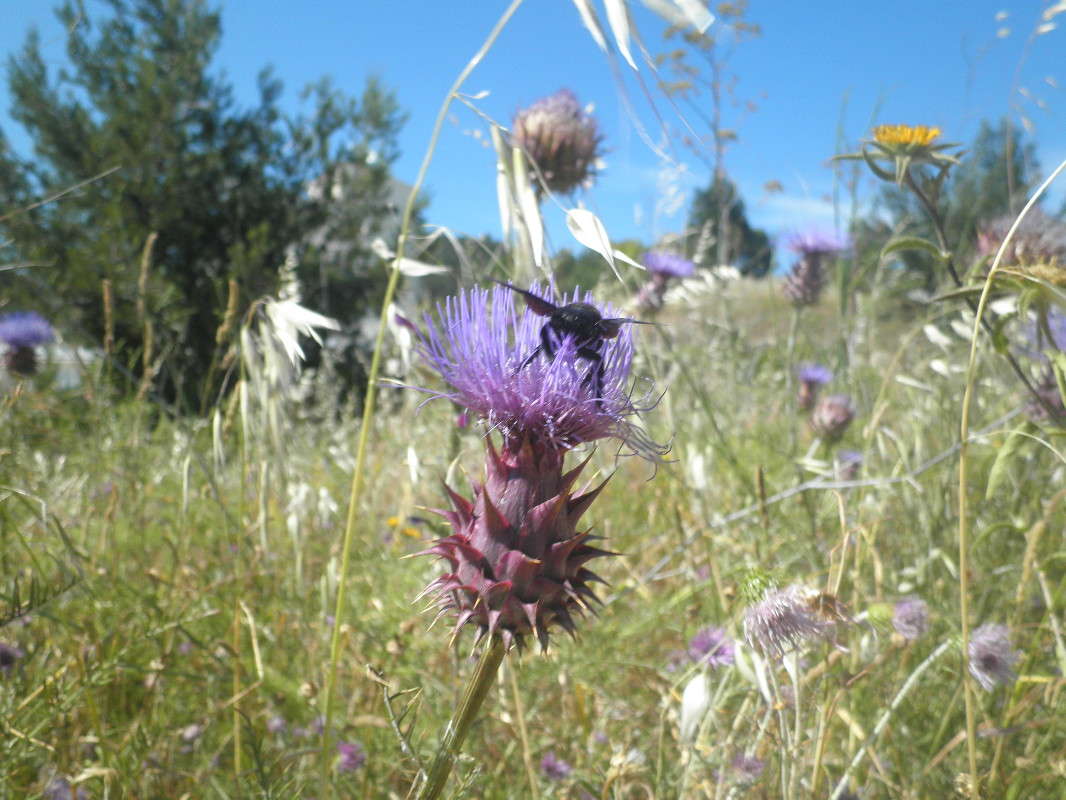 ������� � ������ �����   �� PhotoGeek.ru #������ ��� �������