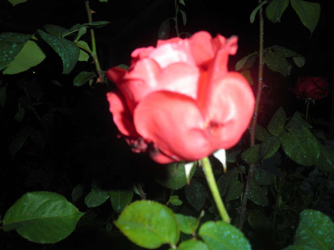 �������� ���������... �����   �� PhotoGeek.ru #������ ��� �������