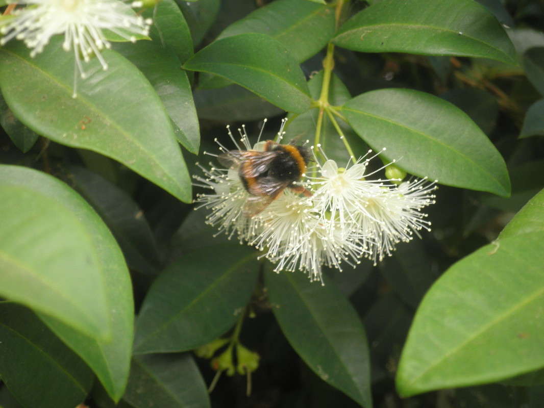 ���� � ����� �����   �� PhotoGeek.ru #������ ��� �������