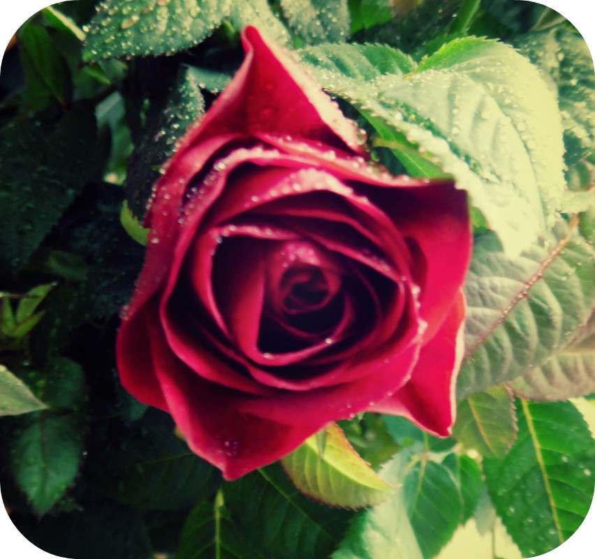 ... ����� ����� ��������� �� PhotoGeek.ru #������ ��� ������� #����� ��������������