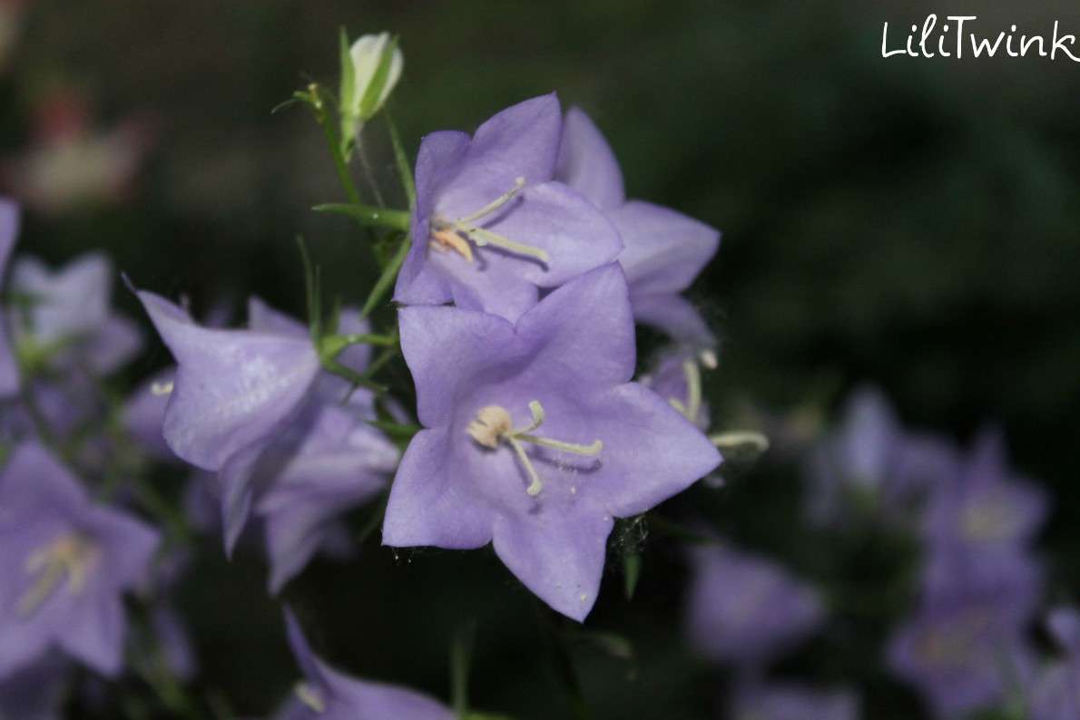 ������������... ����� �����  �� PhotoGeek.ru #������ ��� ������� #����� ��������������