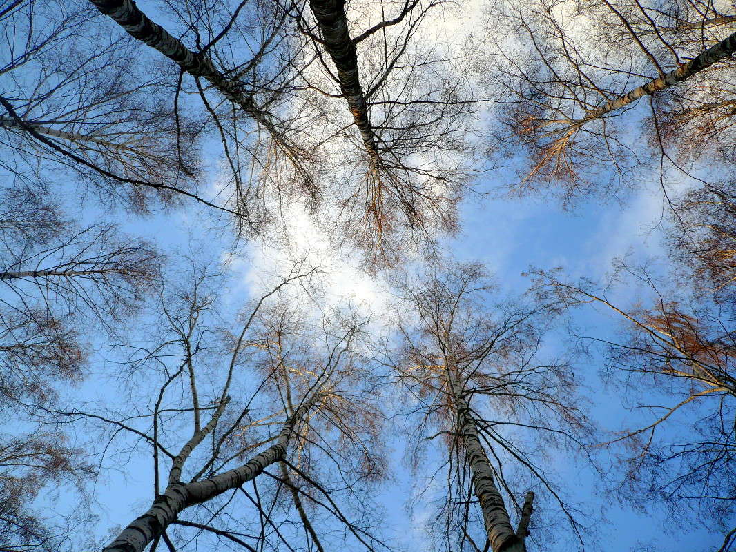 �� ���� ����� ���� �������� �� PhotoGeek.ru #������ ��� ������� #����� ��������