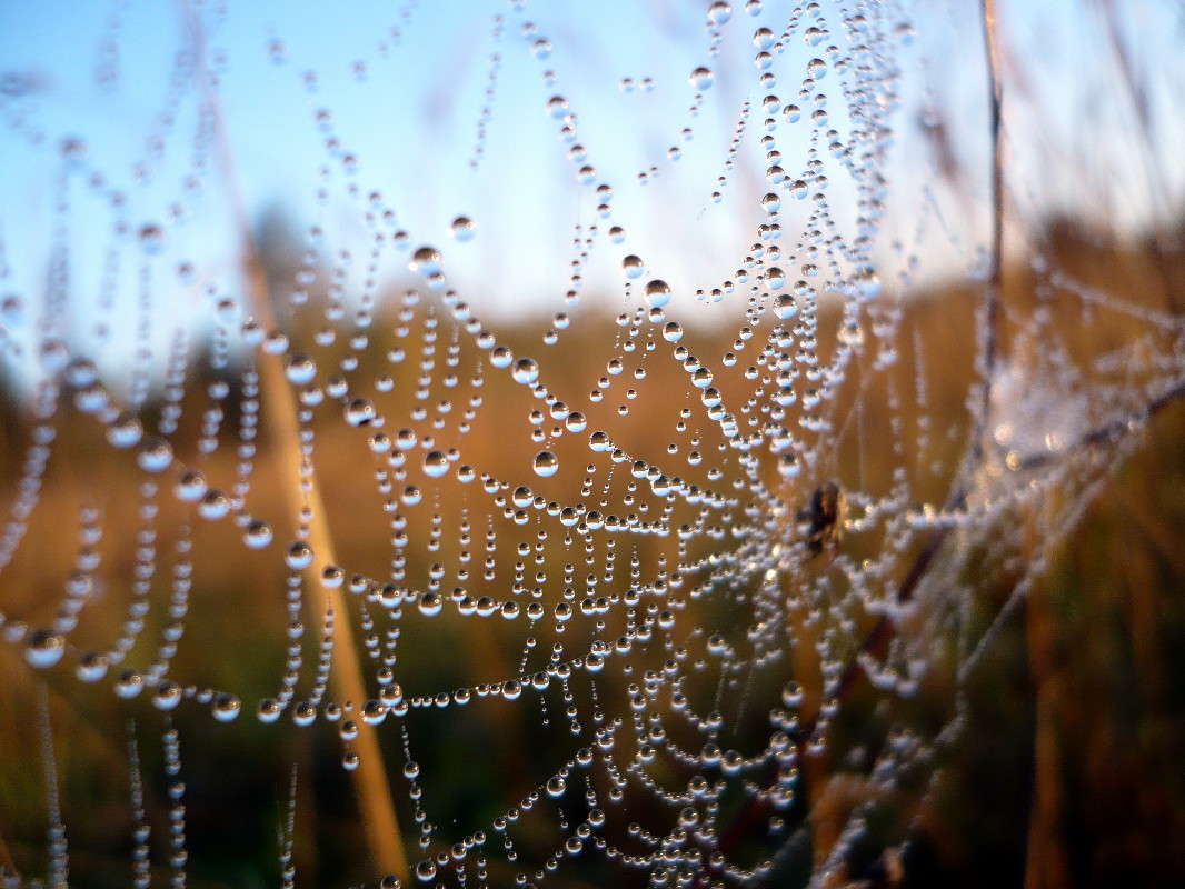 �������� �������� ����� ���� �������� �� PhotoGeek.ru #����� #���������