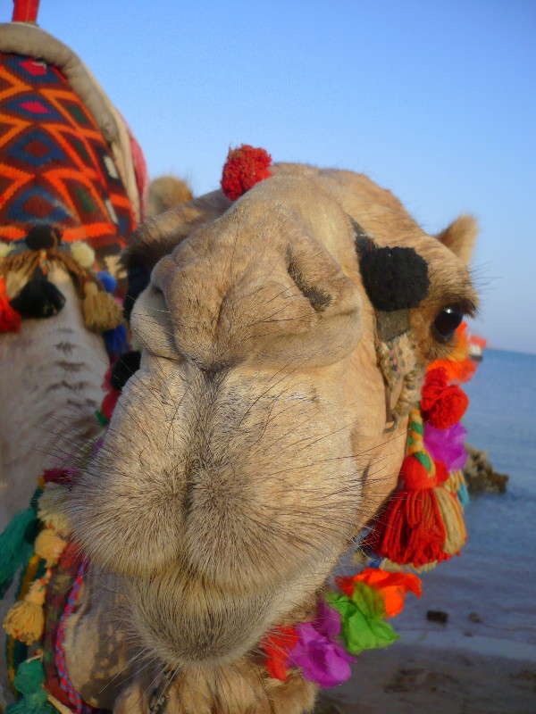 ������� ����� ���� �������� �� PhotoGeek.ru #�������� ���