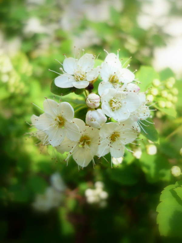 �������� ������ ����� ���� �������� �� PhotoGeek.ru #������ ��� ������� #����� ��������������