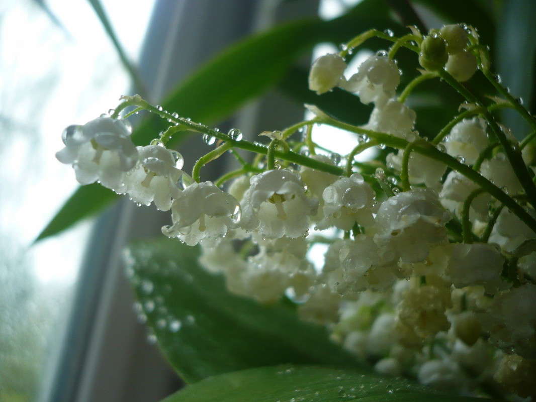 �������� ��� ������ ����� ���� �������� �� PhotoGeek.ru #�����