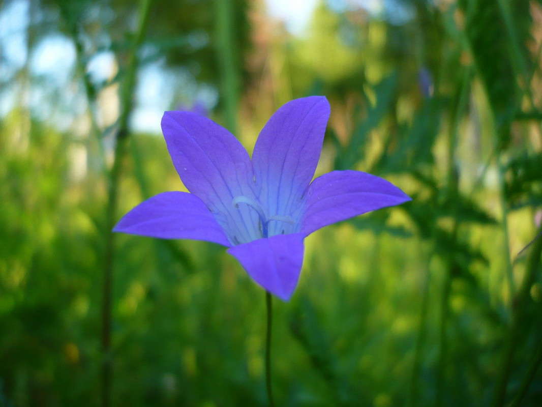 ���������� ����� ���� �������� �� PhotoGeek.ru #������ ��� �������