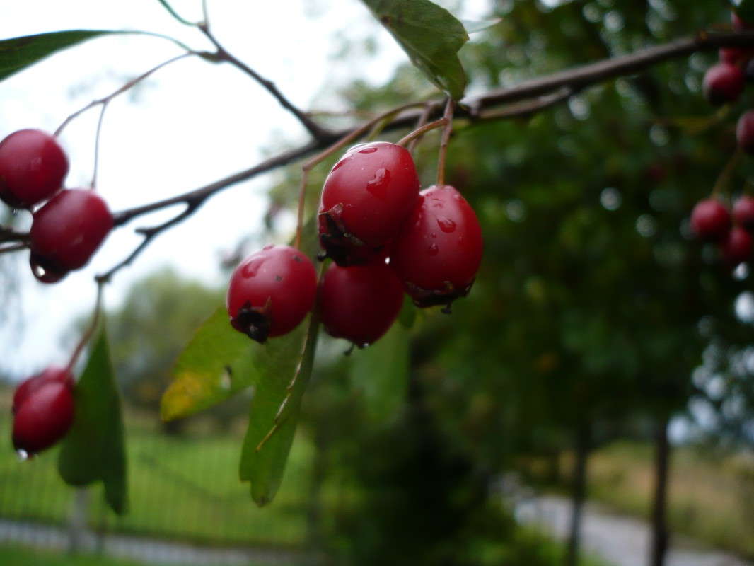 ��������� ����� ���� �������� �� PhotoGeek.ru #������ ��� ������� #����� ��������������