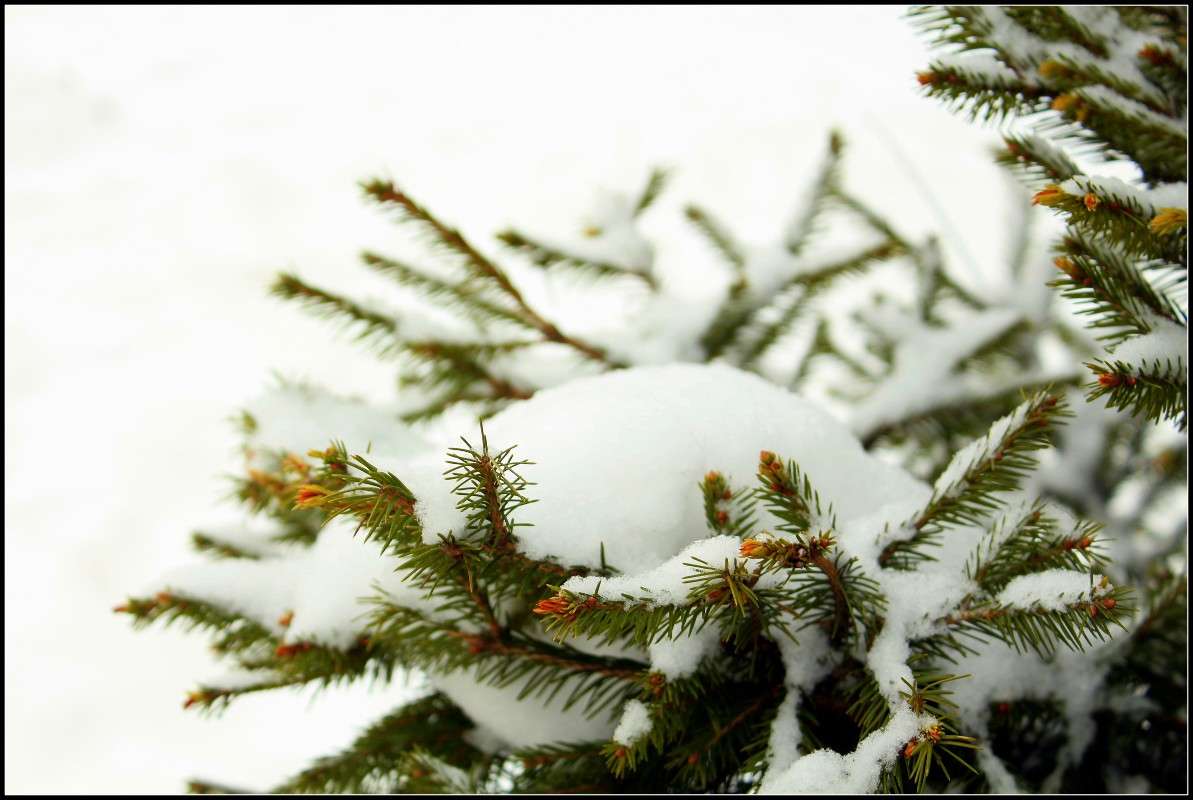 ��������� ��� ����� ���� �������� �� PhotoGeek.ru #������ ��� ������� #������