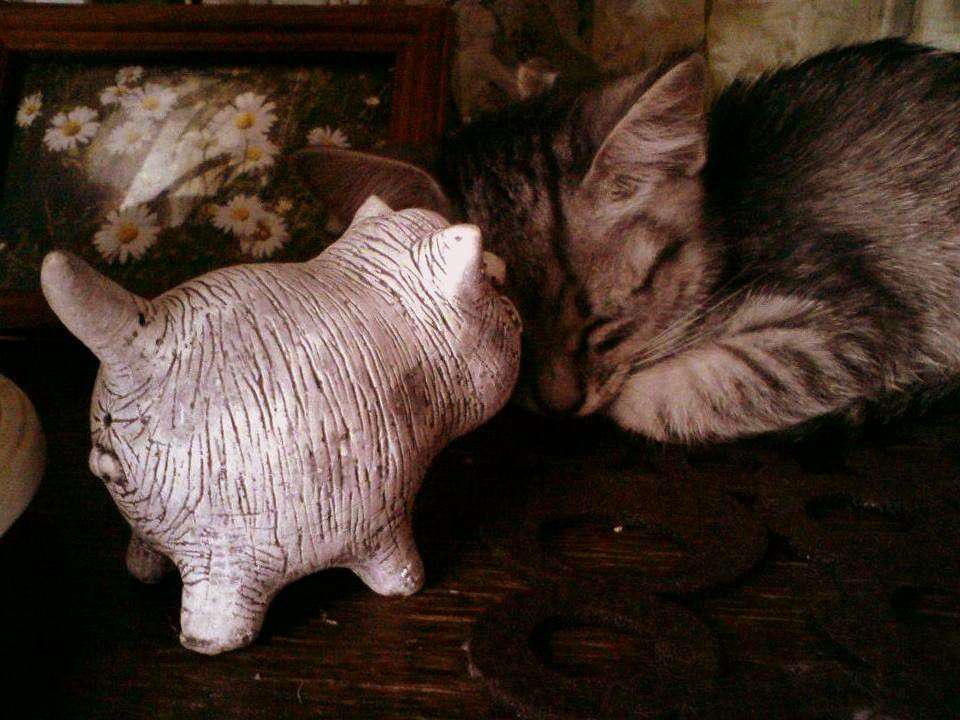 ���� ����� ���� �������� �� PhotoGeek.ru #�������� ��� #�������� ���