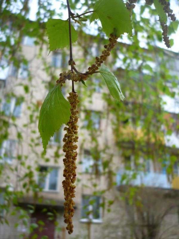 ������� ����� ���� �������� �� PhotoGeek.ru #����� #��������� ������