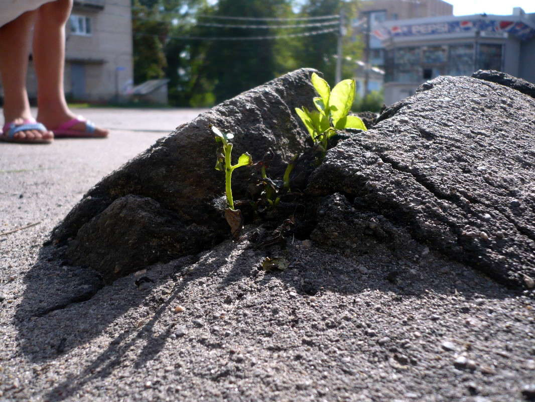 ���� ����� ����� ���� �������� �� PhotoGeek.ru #������ ��� �������